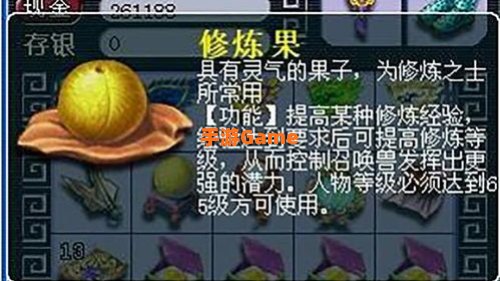 梦幻西游修炼果