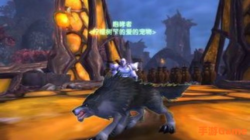 猎人稀有宠物