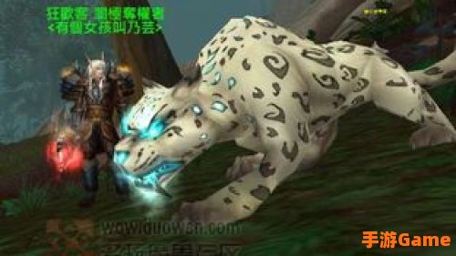 猎人稀有宠物